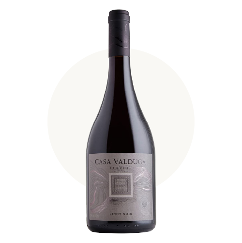 Terroir Pinot Noir, Casa Valduga | 2021